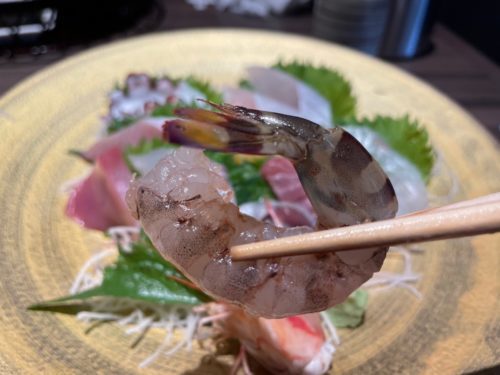 【菊池郡大津町】天草が丸ごとここに…！魚の鮮度がずば抜けている「さかなや 太鮮」