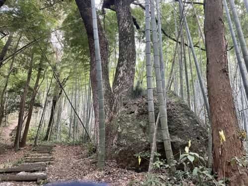 運動不足だなんて、岩せない。～熊本市総合運動公園　謎の大岩～