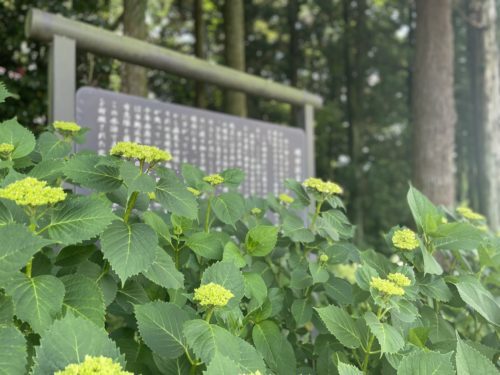 限りなく透明に近いブルー。と、絶対に言いたくなる場所　～明神池名水公園、群塚神社～