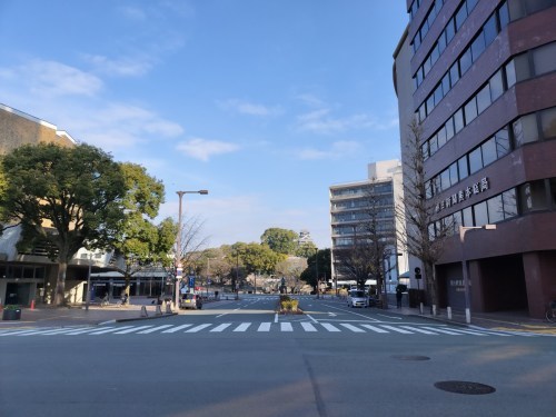 【くまもとの巨木】熊本城・飯田丸五階櫓のクスノキ