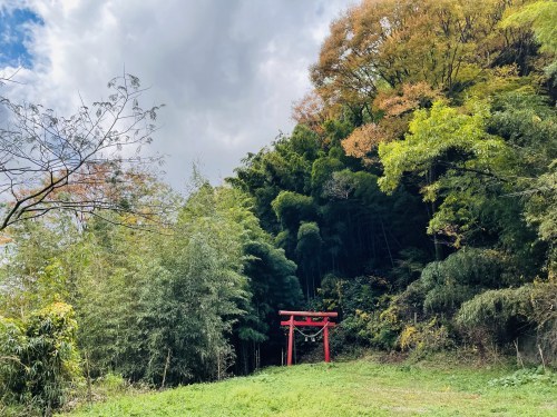 朱色の誘惑、危険な散歩道～阿蘇市一の宮　三閑稲荷神社～