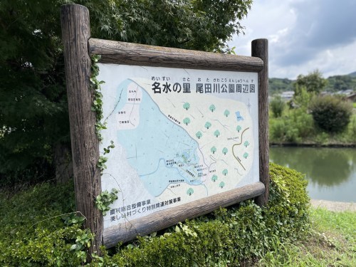 人が増える→環境が悪くなる→遊泳禁止→寂れてゆく、の悪循環を私たちの手で食い止めたい。～尾田川公園　尾田の丸池～