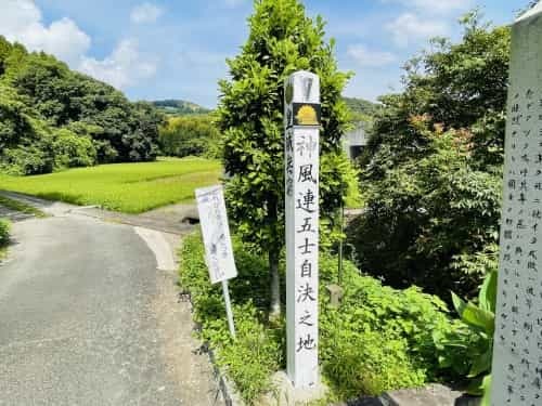 岩の中から水流が聞こえるという「鳴岩」そしてそのそばで絶えた命～熊本市西区花園