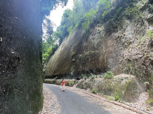 魂が震えるほどの切り口で夏を吸う　～山鹿市菊鹿町木野　岩隈山の切り通し～