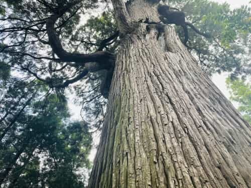 限りなく透明に近いブルー。と、絶対に言いたくなる場所　～明神池名水公園、群塚神社～