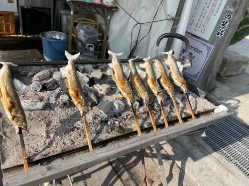 水害から2年半…人吉青井阿蘇神社に初詣に行ってきた