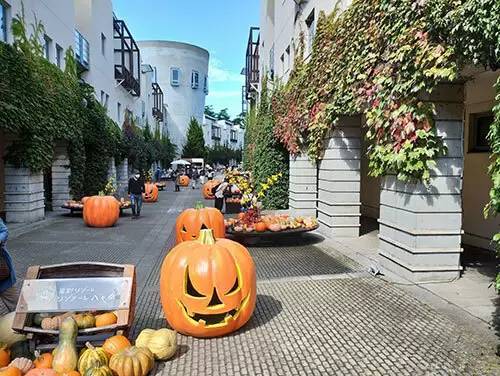 田舎でのんびり起業は複業が基本です！ 10月になって一気に寒くなった八ヶ岳南麓