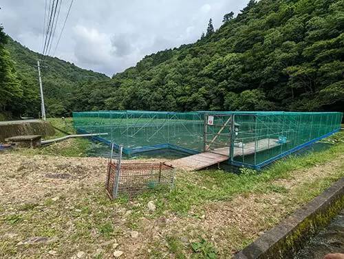 道に迷うのが楽しい！ 田舎暮らしで見つけた徳島の不思議な場所（海部郡編）