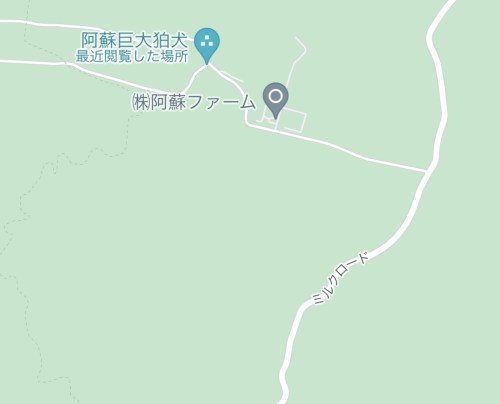 【熊本・阿蘇市】趣味のGoogleマップ散歩してたら発見した巨大狛犬に会いに行った