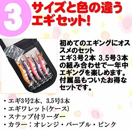 イカの釣り方特集！種類別に時期やコツなど、初心者向けまとめ！