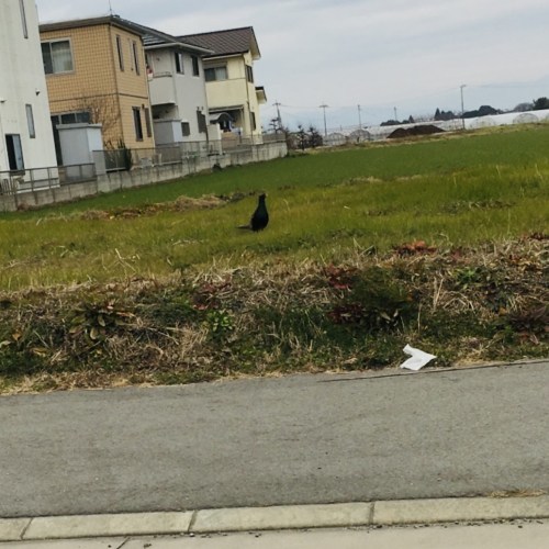スマホの中の写真、見せてもらってもイイですか？