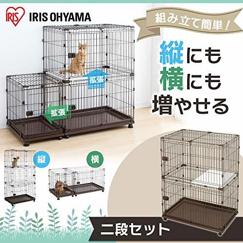 【ペット】ミーアキャットの特徴と飼い方！値段や寿命は？餌やトイレについても解説！