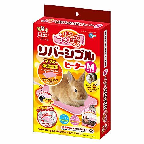 可愛い猿を家で飼いたい!ペットにおすすめの種類や飼い方のポイントをご紹介!