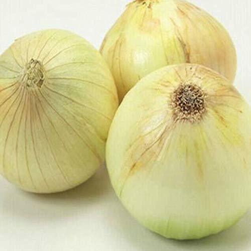 玉ねぎを生で食べるメリットやデメリットって何？気を付けるべきポイントも解説！