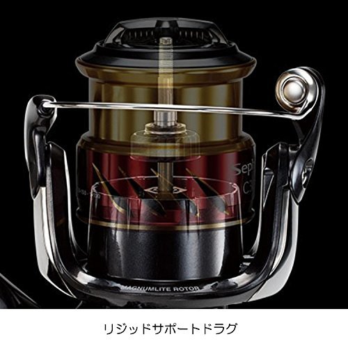 アオリイカの釣り方ガイド!エギングやウキなど初心者向け情報まとめ