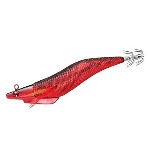 アオリイカの釣り方ガイド!エギングやウキなど初心者向け情報まとめ