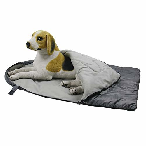 【愛犬家キャンパー必見】寝るときにおすすめの方法や防寒アイテム、注意点をご紹介!