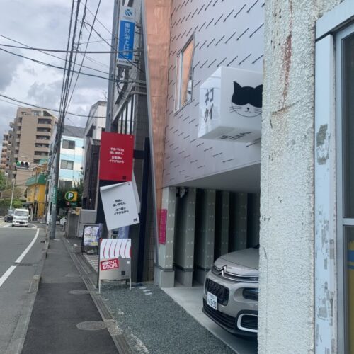 【中央区】青空が見える保護猫カフェ「ネコカイ」子飼にOPEN！