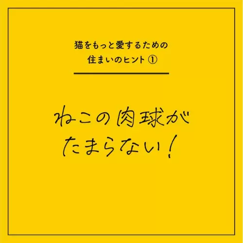 テーマは「猫」、本日からリノベーションの「偏愛くらし展#猫 byリノベる。」開催