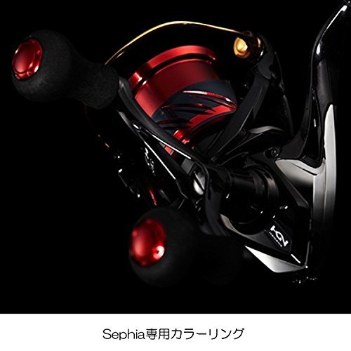 アオリイカの釣り方ガイド!エギングやウキなど初心者向け情報まとめ