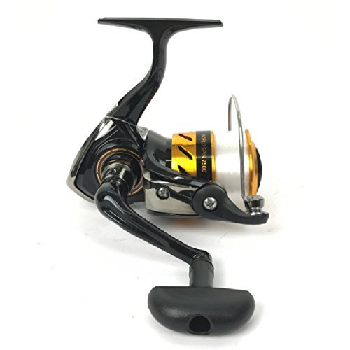 アオリイカの釣り方ガイド!エギングやウキなど初心者向け情報まとめ