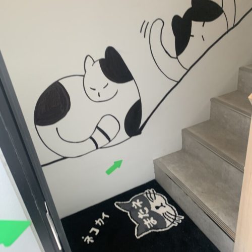 【中央区】青空が見える保護猫カフェ「ネコカイ」子飼にOPEN！