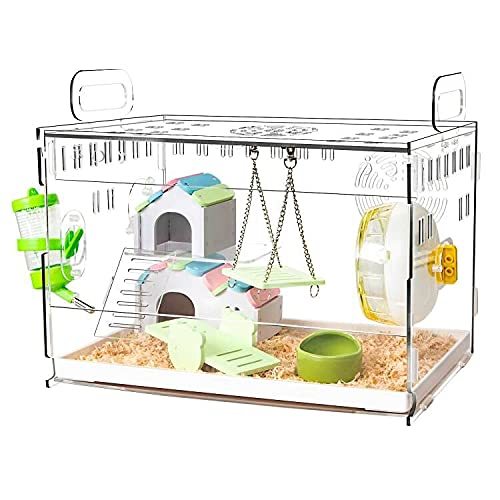 ペットとして人気のネズミの種類4つと飼い方！よく懐いて飼いやすいのはどれ？