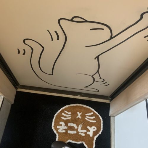 【中央区】青空が見える保護猫カフェ「ネコカイ」子飼にOPEN！