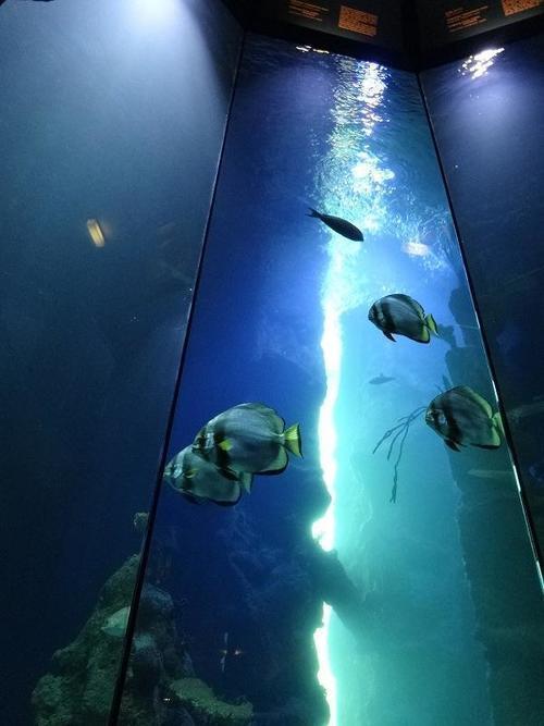 学びと触れ合いの場に最適！ウィーンの廃墟水族館「ハウス・デス・メーレス」