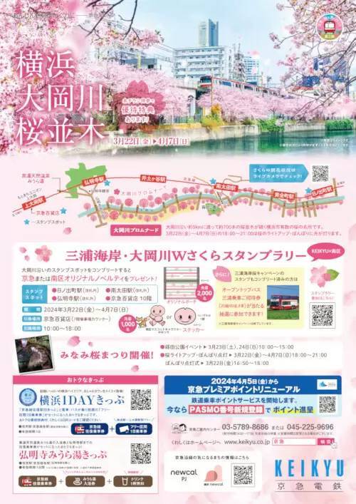 京急線に乗って大岡川の桜を見に行こう！ キャンペーン開催