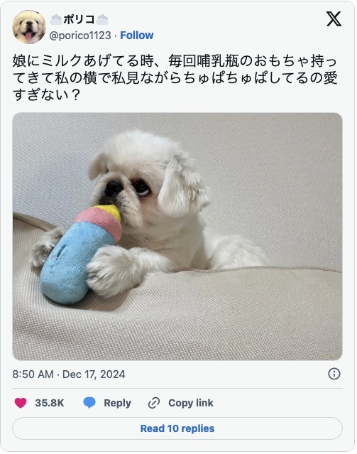 「僕と赤ちゃん、どっちが大事なの？」　飼い主の愛を試すワンコ