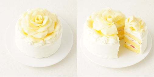 Matt Rose × Cake.jpコラボにより、まるでアートのように美しい「ローズホワイトホールケーキ」が誕生！9月12日(月)より販売開始