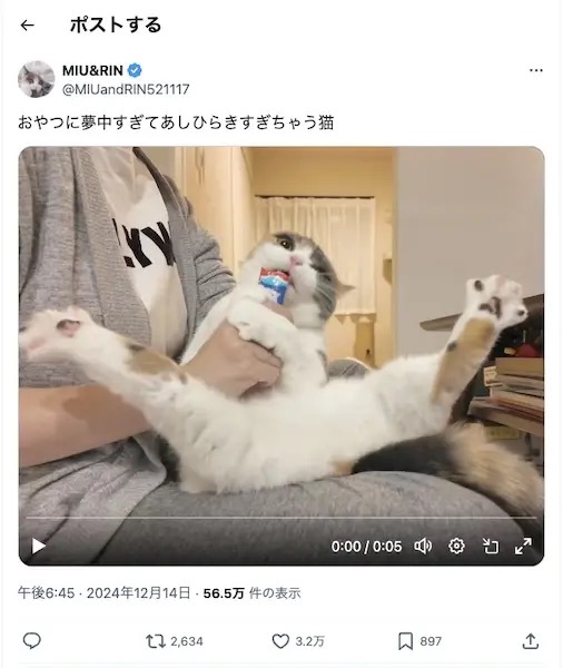 なんて大胆なんでしょう……見事な足ピンV字開脚でおやつを食べる猫ちゃん