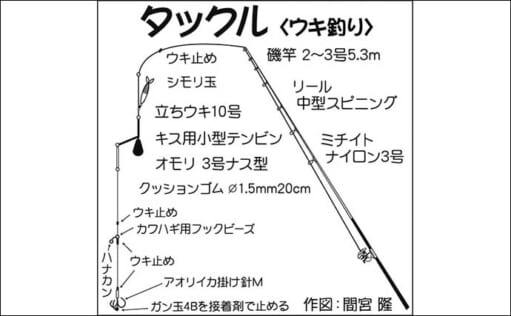 アオリイカのウキ釣り解説　生きエサと死にエサどっちが釣れる？