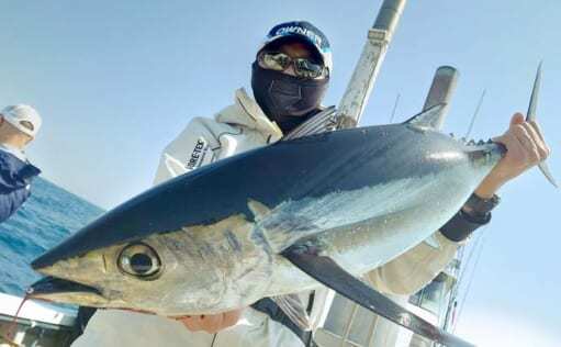 志摩沖トンジギが最高潮　ビンチョウマグロ全員手中で船中20匹