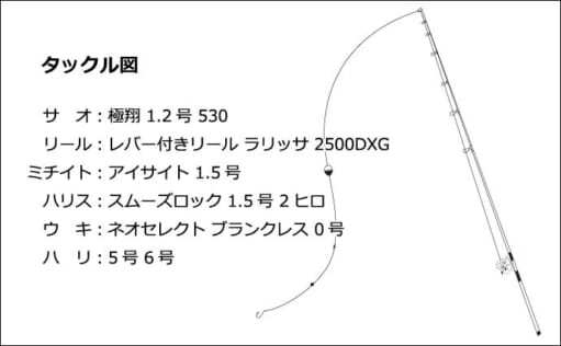 地磯でのフカセ釣りで42cm頭にグレ14匹 遠投でエサ取りを攻略