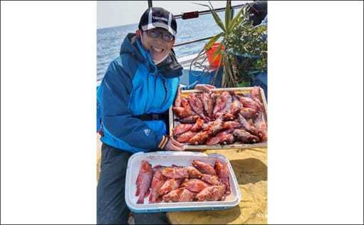 船カサゴ釣りで26cm頭に36匹　好釣果の条件はナギと緩い潮回り？