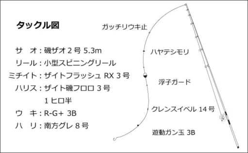 磯フカセ釣りで45cm頭に尾長グロ（グレ）好打　ゲストにチヌやバリ