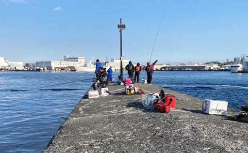 城ヶ島の沖堤防でウキダンゴ釣り　50cm級クロダイにマダイ好捕