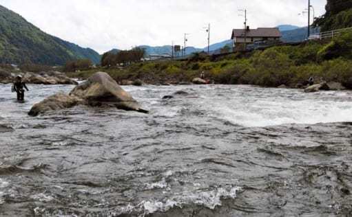 シーズン終盤の長良川郡上で「アユ友釣り」　23cm頭に33匹手中に満足