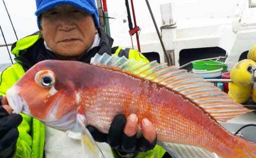 【玄界灘】沖のエサ釣り最新釣果　五目釣りでアマダイにレンコダイ好調