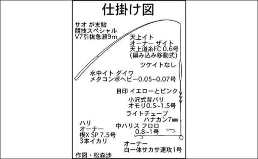 シーズン終盤の長良川郡上で「アユ友釣り」　23cm頭に33匹手中に満足