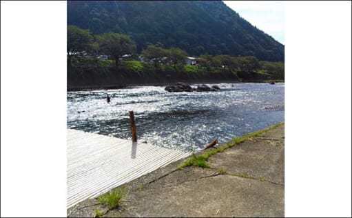 シーズン終盤の長良川郡上で「アユ友釣り」　23cm頭に33匹手中に満足