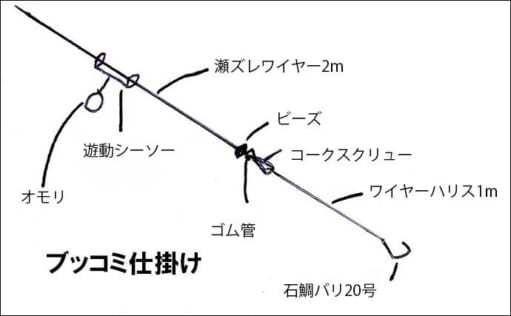 夜のブッコミ大物釣りのススメ 強烈な引きは病みつき間違いなし？