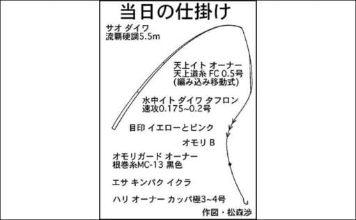 渓流エサ釣りで24cm天然アマゴ　エン堤下で連発するのが初期パターン