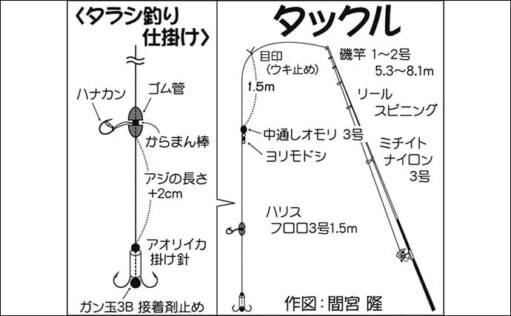 アオリイカのウキ釣り解説　生きエサと死にエサどっちが釣れる？