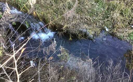 淡水小物釣りでタカハヤにカワムツ　ソーセージ付き毛バリ仕掛けが肝？