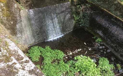 淡水小物釣りでタカハヤにカワムツ　ソーセージ付き毛バリ仕掛けが肝？