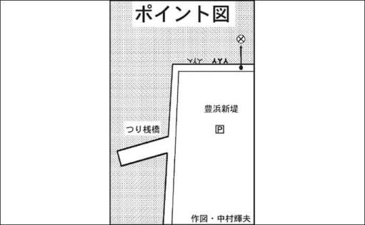 堤防メバル釣りで24cm頭に5匹 朝マヅメの時合いにカサゴ交え連発