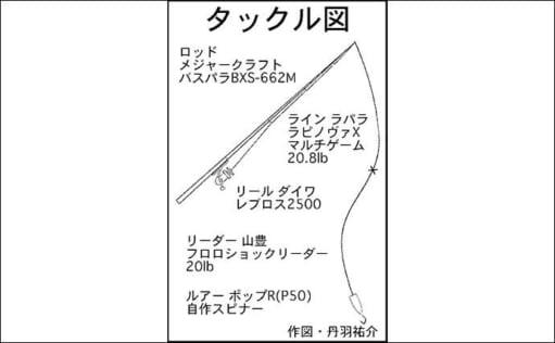 日中の「ナマズゲーム」で70cm頭に良型8匹　 想定外のラッシュ堪能